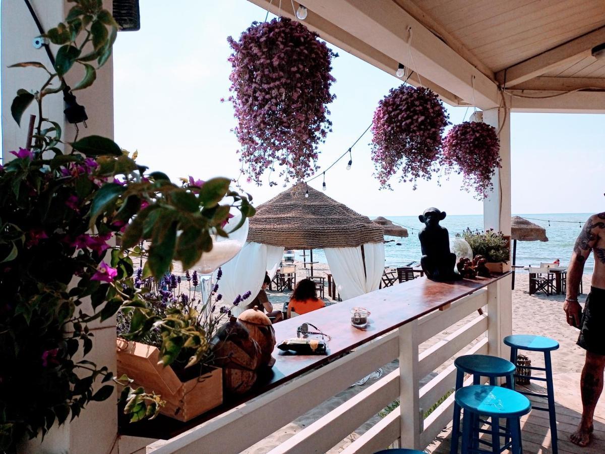 B&B Purple Italy Фиумичино Екстериор снимка